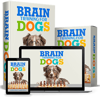 Brain Training for Dogs